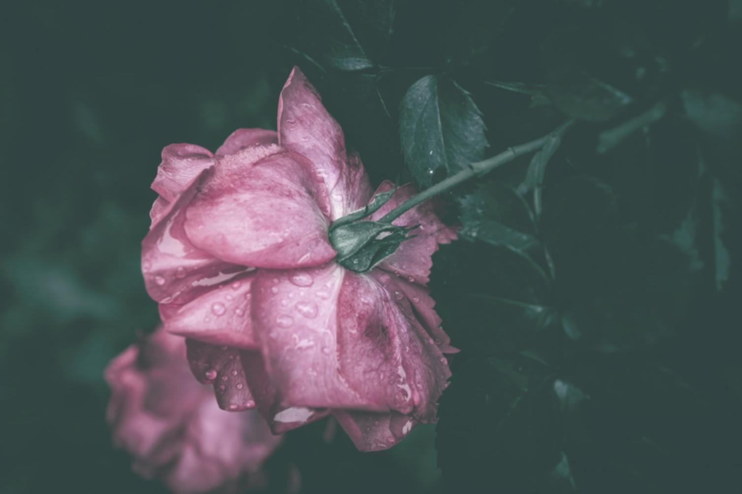 Otel resepsiyon çiçek tasarımı